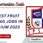 Latest Fruit Picking Jobs in Belgium 2023 Online Apply