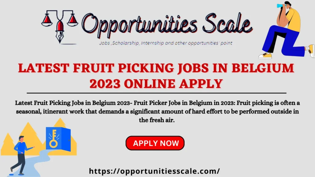 Latest Fruit Picking Jobs in Belgium 2023 Online Apply 2 Latest Fruit Picking Jobs in Belgium 2023 Online Apply
