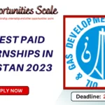 Latest Paid internships in Pakistan 2023