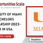 University of Miami Bachelors Scholarship