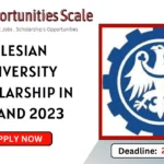 Silesian University Scholarship in Poland