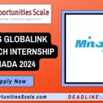 Mitacs Globalink Research Internship Canada 2024