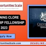 Chevening Clore Leadership Fellowship