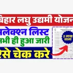 लघु उद्यमी योजना का फाइनल रिजल्ट जारी.webp